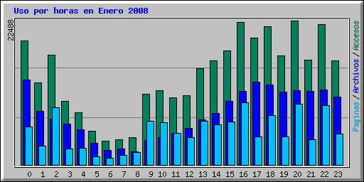 Uso por horas en Enero 2008